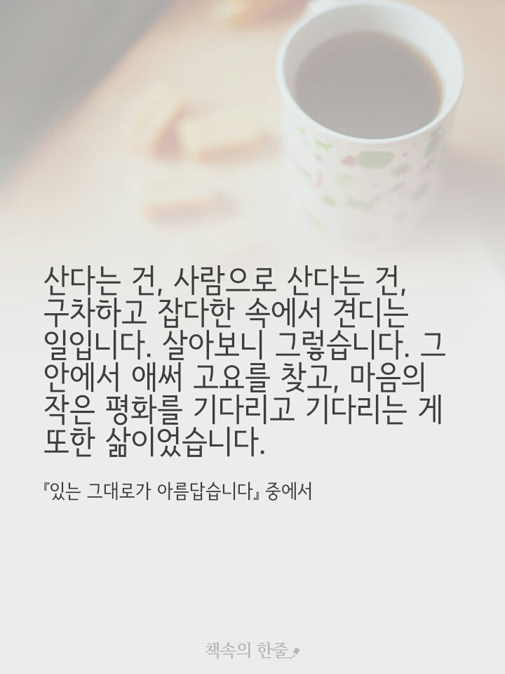이철수