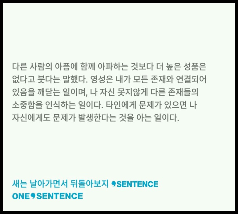 새는3
