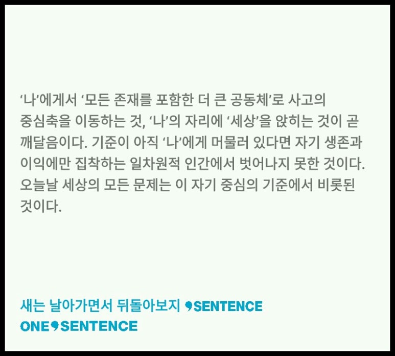 새는4