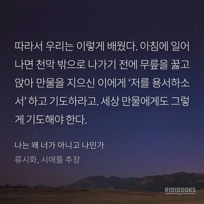 인디언3